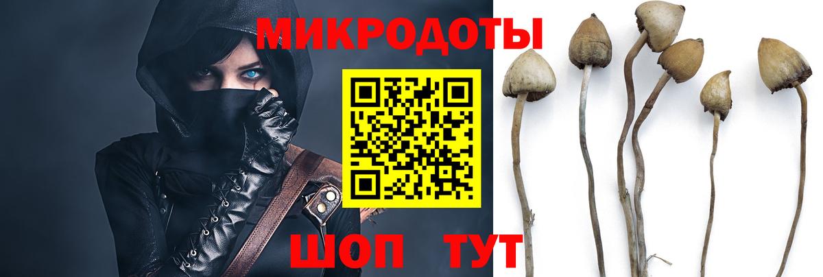 Лениногорск  Псилоцибиновые грибы ЛСД  Вход с VPN 